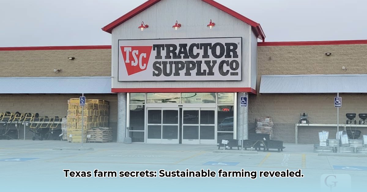 tractor-supply-borger-texas